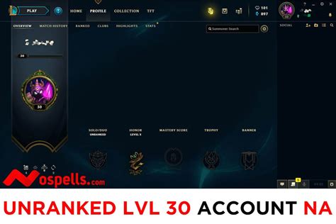 account lv 30 lol|handleveld lvl 30 account.